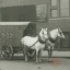 c1910 - Brooklyn Historical Society